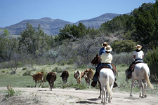 USA-New Mexico-Gila Cowgirl Camp
